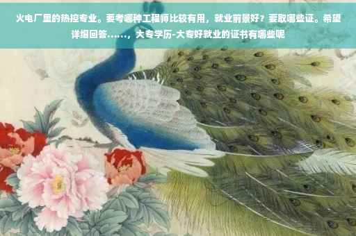 火电厂里的热控专业。要考哪种工程师比较有用，就业前景好？要取哪些证。希望详细回答……，大专学历-大专好就业的证书有哪些呢