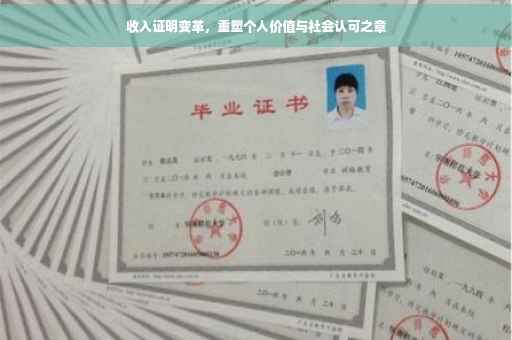 收入证明变革，重塑个人价值与社会认可之章