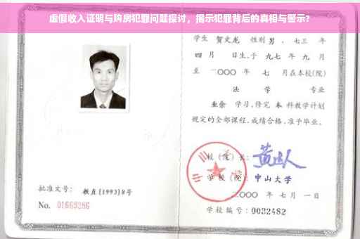 虚假收入证明与购房犯罪问题探讨，揭示犯罪背后的真相与警示?