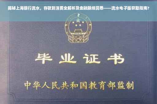 揭秘上海银行流水，存款到消费全解析及金融脉络洞悉——流水电子版获取指南??
