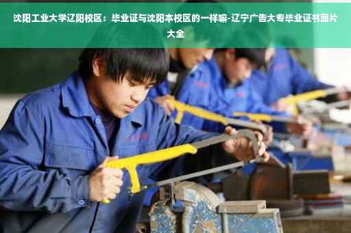 沈阳工业大学辽阳校区：毕业证与沈阳本校区的一样嘛-辽宁广告大专毕业证书图片大全