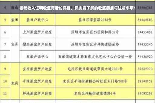揭秘收入证明收费背后的真相，你需要了解的收费要点与注意事项！