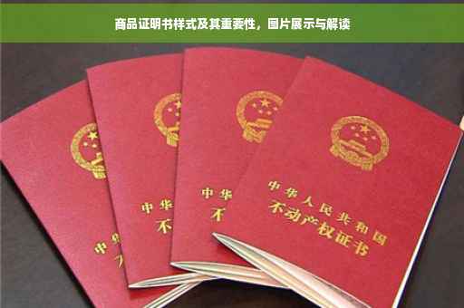 商品证明书样式及其重要性，图片展示与解读