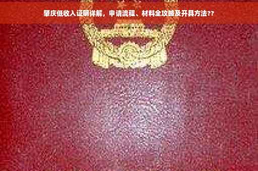 肇庆低收入证明详解，申请流程、材料全攻略及开具方法??