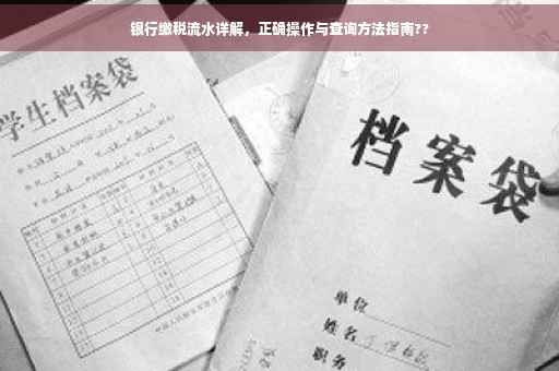 银行缴税流水详解，正确操作与查询方法指南??