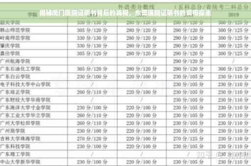 揭秘虎门医院证明书背后的真相，东莞医院证明书的真相探索