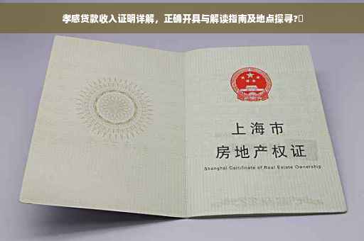 孝感贷款收入证明详解，正确开具与解读指南及地点探寻?✨
