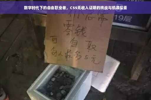 数字时代下的自由职业者，CSS无收入证明的挑战与机遇探索