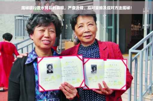 揭秘银行流水背后的真相，严查流程、应对策略及应对方法揭秘！