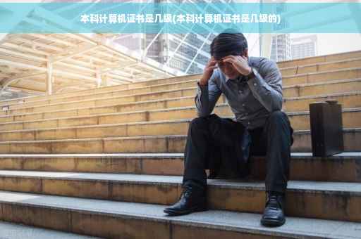 本科计算机证书是几级(本科计算机证书是几级的)