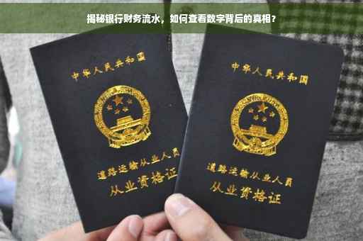 揭秘银行财务流水，如何查看数字背后的真相？