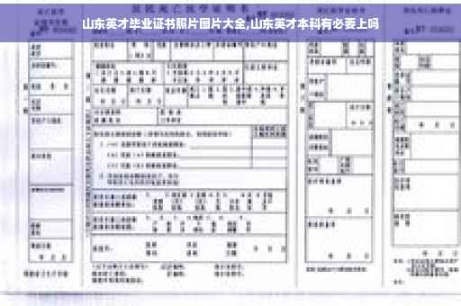 山东英才毕业证书照片图片大全,山东英才本科有必要上吗