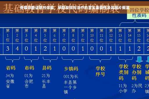 骨癌诊断证明书详解，早期发现与治疗的至关重要性及其图片概览