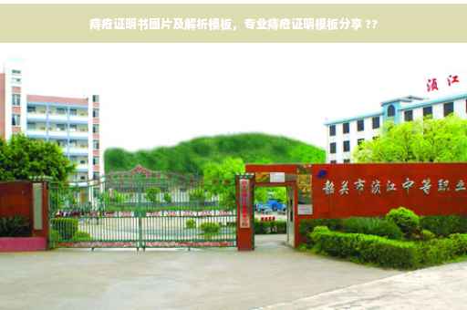 痔疮证明书图片及解析模板，专业痔疮证明模板分享 ??