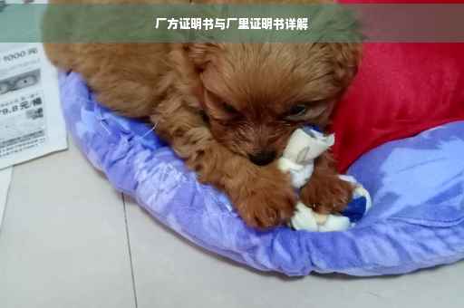 厂方证明书与厂里证明书详解