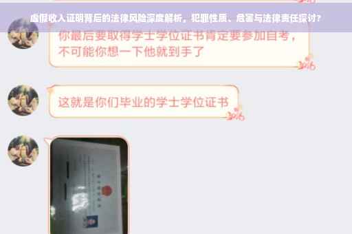 虚假收入证明背后的法律风险深度解析，犯罪性质、危害与法律责任探讨?