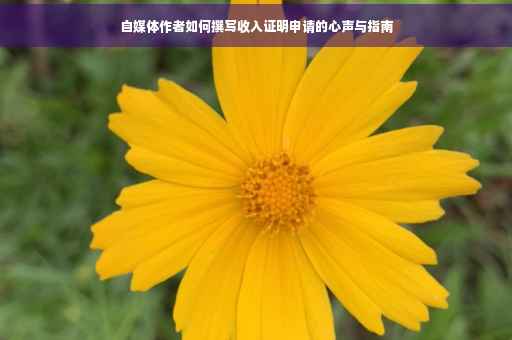 自媒体作者如何撰写收入证明申请的心声与指南