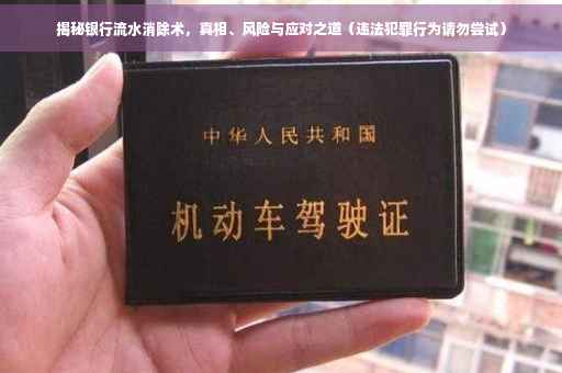 揭秘银行流水消除术，真相、风险与应对之道（违法犯罪行为请勿尝试）