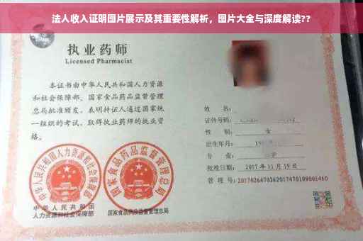 法人收入证明图片展示及其重要性解析，图片大全与深度解读??