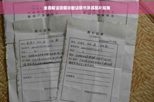 全面解读肾癌诊断证明书及其图片指南