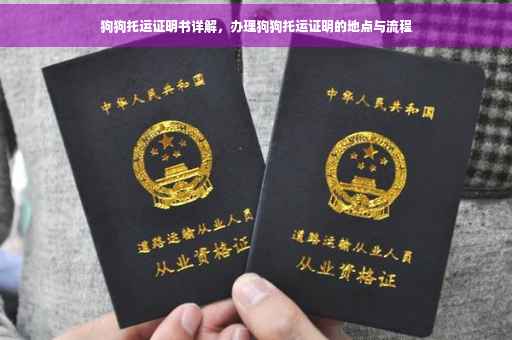 狗狗托运证明书详解，办理狗狗托运证明的地点与流程