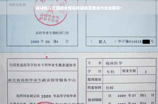 揭秘银行巨额流水背后的秘密及查询方法全解析！