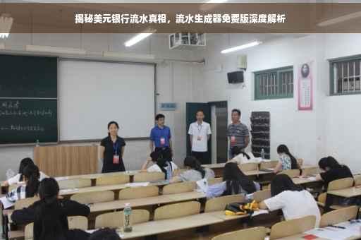 揭秘美元银行流水真相，流水生成器免费版深度解析