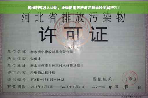 揭秘制式收入证明，正确使用方法与注意事项全解析?⚡️
