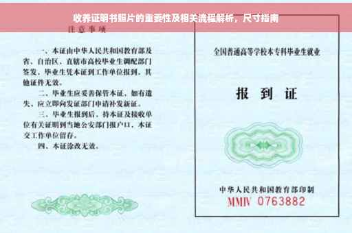 收养证明书照片的重要性及相关流程解析，尺寸指南