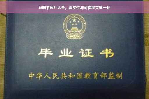 证明书图片大全，真实性与可信度关键一环
