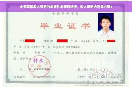 全面解读收入证明的重要性与获取途径，收入证明去哪里办理？