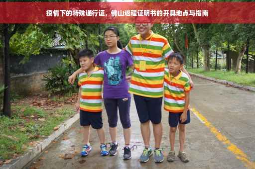疫情下的特殊通行证，佛山返程证明书的开具地点与指南