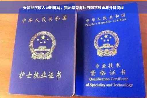 天津经济收入证明详解，揭示繁荣背后的数字故事与开具流程