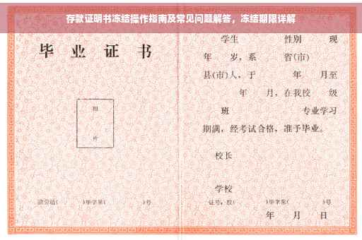 存款证明书冻结操作指南及常见问题解答，冻结期限详解