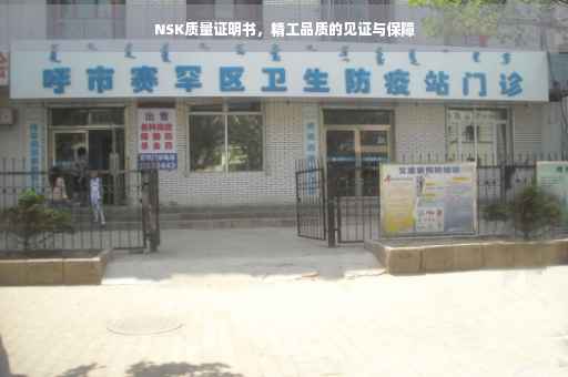 NSK质量证明书，精工品质的见证与保障