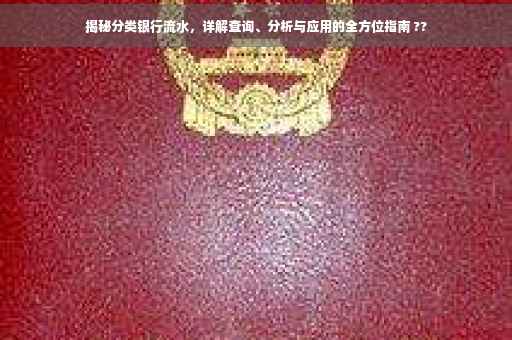 揭秘分类银行流水，详解查询、分析与应用的全方位指南 ??