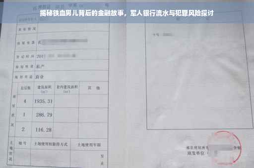 揭秘铁血男儿背后的金融故事，军人银行流水与犯罪风险探讨