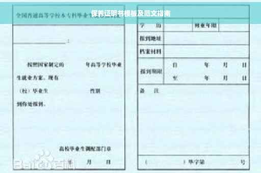 保养证明书模板及范文指南
