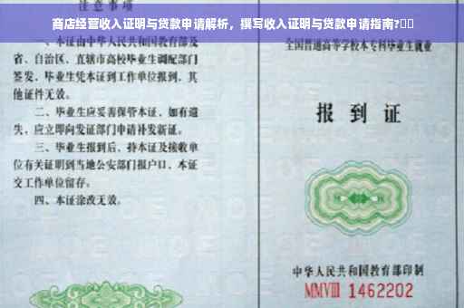 商店经营收入证明与贷款申请解析，撰写收入证明与贷款申请指南?⚡️