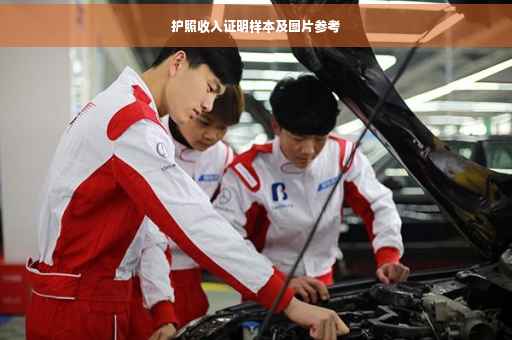 护照收入证明样本及图片参考