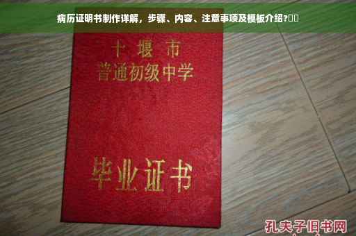 病历证明书制作详解，步骤、内容、注意事项及模板介绍?⚡️