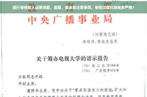 银行审核收入证明详解，流程、要点及注意事项，审核过程究竟有多严格？