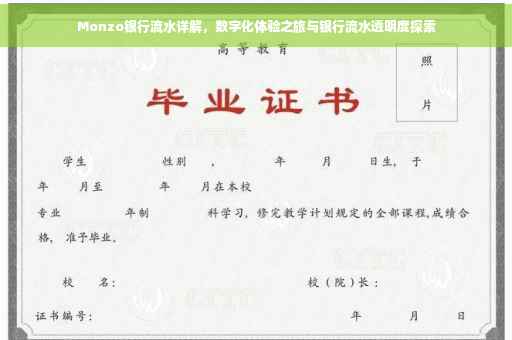 Monzo银行流水详解，数字化体验之旅与银行流水透明度探索