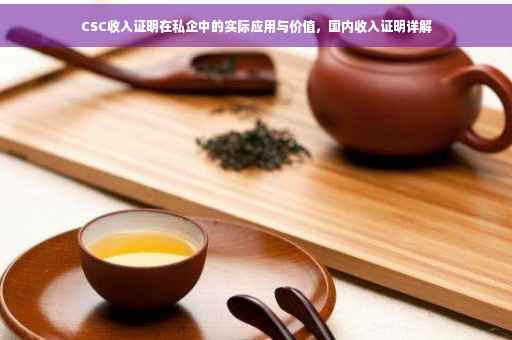 CSC收入证明在私企中的实际应用与价值，国内收入证明详解