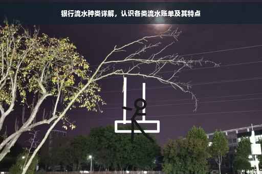 银行流水种类详解，认识各类流水账单及其特点