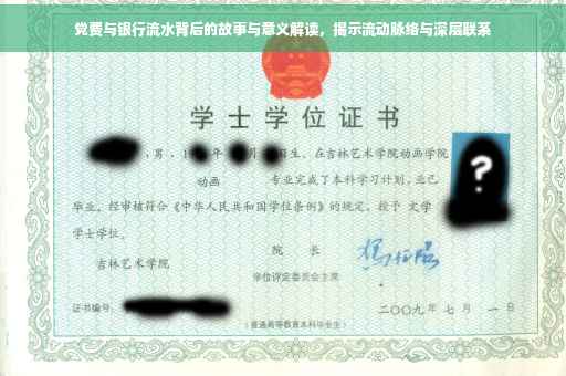 党费与银行流水背后的故事与意义解读，揭示流动脉络与深层联系