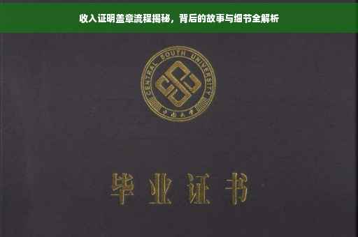 收入证明盖章流程揭秘，背后的故事与细节全解析