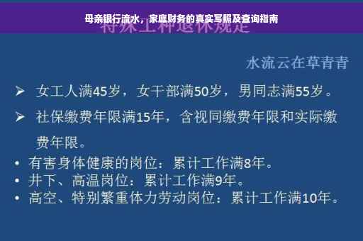 母亲银行流水，家庭财务的真实写照及查询指南