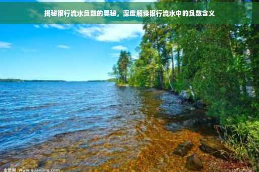 揭秘银行流水负数的奥秘，深度解读银行流水中的负数含义