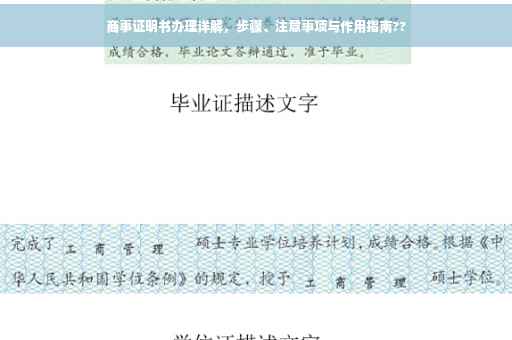 商事证明书办理详解，步骤、注意事项与作用指南??